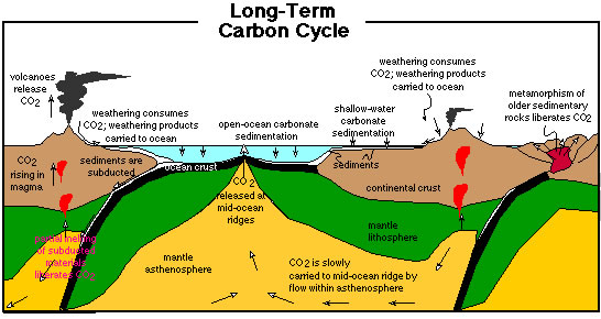 Cartoon of the long-term carbon cycle