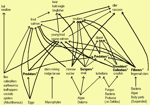 Species Interactions Worksheet Part A Chart