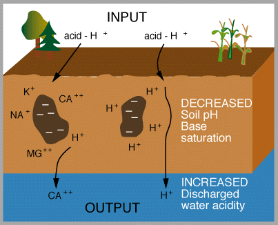 Acid rain перевод 7 класс. Water saturation of the Soil Scale. Soil Base. Acid Rain 7 класс Spotlight.